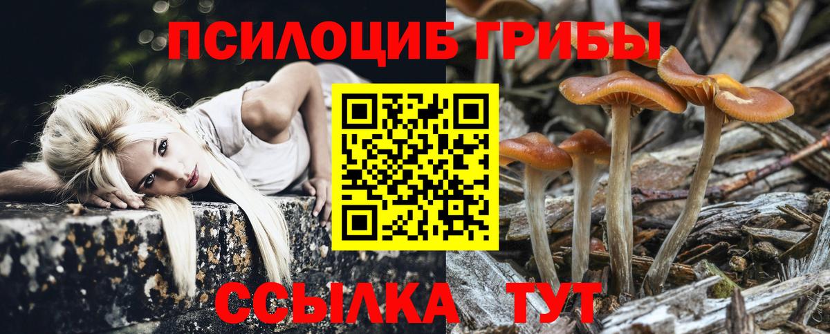 Губаха  Галлюциногенные грибы Magic Shrooms  Вход с VPN  Галлюциногенные грибы мицелий 