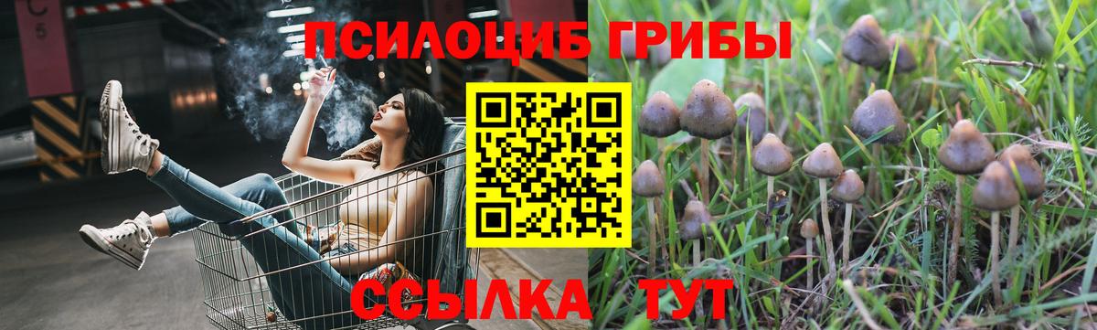 Галлюциногенные грибы ЛСД Губаха